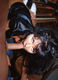 Photos sexe gratuites-pipe gros plan